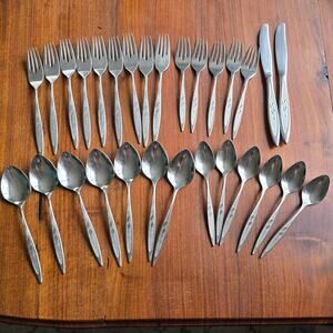 Vintage Oneida Royal Harvest Flatware WM Rogers Premier Stainless 29 Pcs MCM